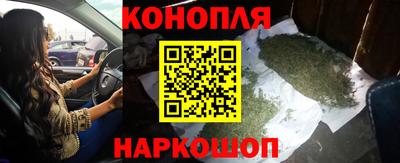 сатива Краснознаменск