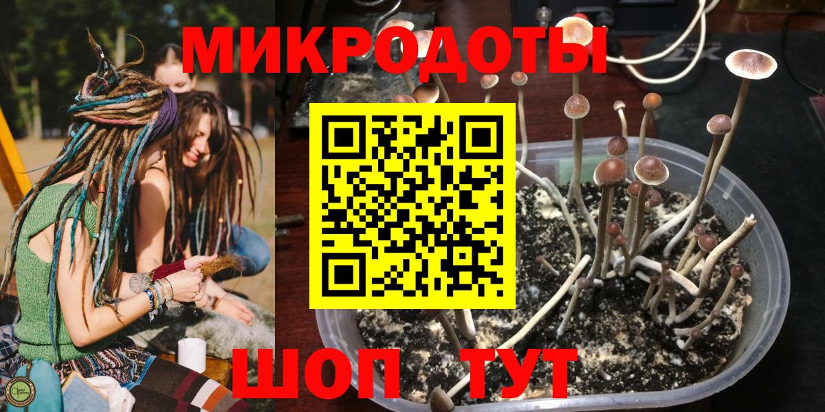 Псилоцибиновые грибы Psilocybine cubensis  Галлюциногенные грибы GOLDEN TEACHER  Вход с VPN  Корсаков 