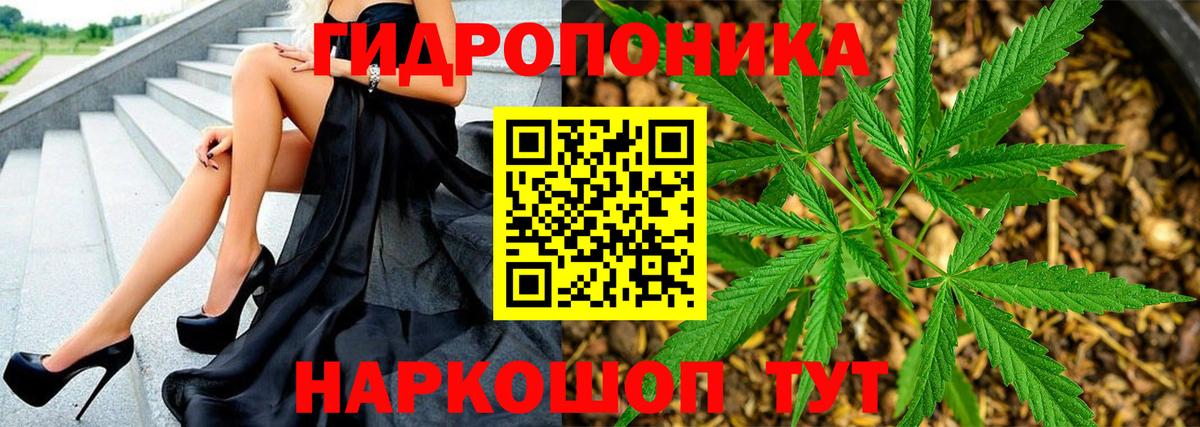 Шишки марихуана марихуана  Каннабис MAZAR  Канабис OG Kush  Корсаков  Вход с VPN 